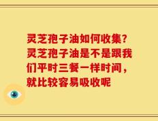 灵芝孢子油如何收集？灵芝孢子油是不是跟我们平时三餐一样时间，就比较容易吸收呢