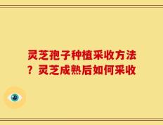 灵芝孢子种植采收方法？灵芝成熟后如何采收