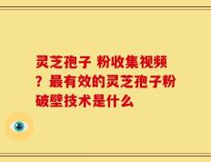 灵芝孢子 粉收集视频？最有效的灵芝孢子粉破壁技术是什么