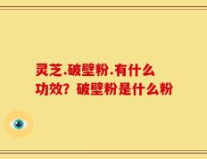 灵芝.破壁粉.有什么功效？破壁粉是什么粉
