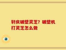 轩庆破壁灵芝？破壁机打灵芝怎么做