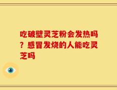 吃破壁灵芝粉会发热吗？感冒发烧的人能吃灵芝吗