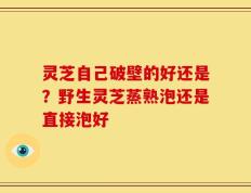 灵芝自己破壁的好还是？野生灵芝蒸熟泡还是直接泡好