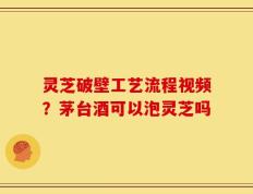 灵芝破壁工艺流程视频？茅台酒可以泡灵芝吗