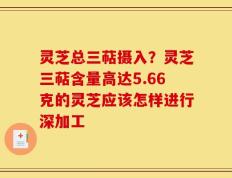 灵芝总三萜摄入？灵芝三萜含量高达5.66克的灵芝应该怎样进行深加工