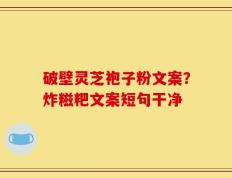 破壁灵芝袍子粉文案？炸糍粑文案短句干净