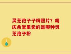 灵芝孢子子粉照片？胡庆余堂里卖的是哪种灵芝孢子粉