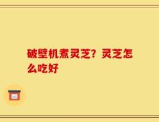 破壁机煮灵芝？灵芝怎么吃好
