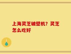 上海灵芝破壁机？灵芝怎么吃好