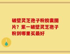 破壁灵芝孢子粉胶囊图片？紫一破壁灵芝孢子粉到哪里买最好