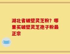湖北省破壁灵芝粉？哪里买破壁灵芝孢子粉最正宗