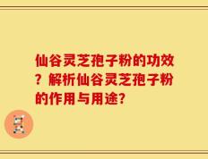 仙谷灵芝孢子粉的功效？解析仙谷灵芝孢子粉的作用与用途？