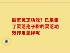破壁灵芝功效？已采集了灵芝孢子粉的灵芝功效作用怎样呢