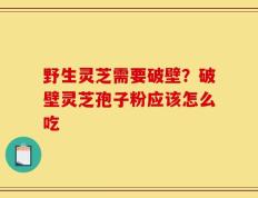 野生灵芝需要破壁？破壁灵芝孢子粉应该怎么吃