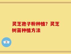 灵芝孢子粉种植？灵芝树苗种植方法