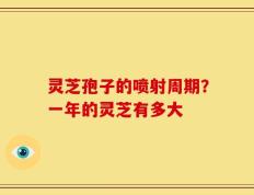 灵芝孢子的喷射周期？一年的灵芝有多大