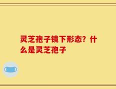 灵芝孢子镜下形态？什么是灵芝孢子