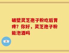 破壁灵芝孢子粉吃后胃疼？你好，灵芝孢子粉能泡酒吗