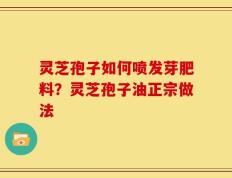 灵芝孢子如何喷发芽肥料？灵芝孢子油正宗做法