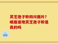 灵芝孢子粉四川图片？峨眉道地灵芝孢子粉是真的吗