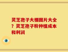 灵芝孢子大棚图片大全？灵芝孢子粉种植成本和利润