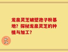 龙泉灵芝破壁孢子粉基地？探秘龙泉灵芝的种植与加工？