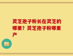 灵芝孢子粉长在灵芝的哪里？灵芝孢子粉哪里产