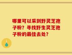 哪里可以采到野灵芝孢子粉？寻找野生灵芝孢子粉的最佳去处？