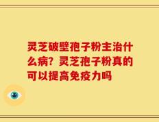 灵芝破壁孢子粉主治什么病？灵芝孢子粉真的可以提高免疫力吗