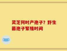 灵芝何时产孢子？野生菌孢子繁殖时间