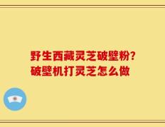 野生西藏灵芝破壁粉？破壁机打灵芝怎么做
