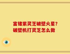 富锗紫灵芝破壁火星？破壁机打灵芝怎么做