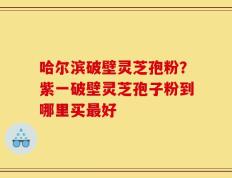 哈尔滨破壁灵芝孢粉？紫一破壁灵芝孢子粉到哪里买最好