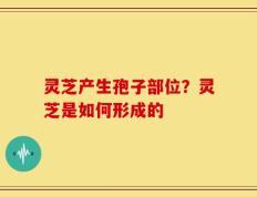灵芝产生孢子部位？灵芝是如何形成的