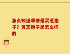怎么知道哪些是灵芝孢子？灵芝孢子是怎么样的