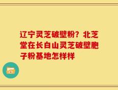 辽宁灵芝破壁粉？北芝堂在长白山灵芝破壁胞子粉基地怎样样