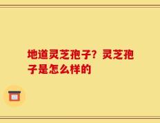 地道灵芝孢子？灵芝孢子是怎么样的