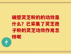 破壁灵芝粉的的功效是什么？已采集了灵芝孢子粉的灵芝功效作用怎样呢