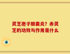 灵芝孢子胆囊炎？赤灵芝的功效与作用是什么