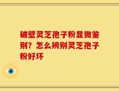破壁灵芝孢子粉显微鉴别？怎么辨别灵芝孢子粉好坏