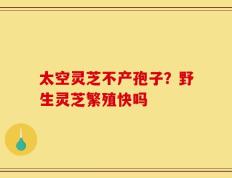 太空灵芝不产孢子？野生灵芝繁殖快吗