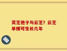 灵芝孢子与云芝？云芝单棵可生长几年