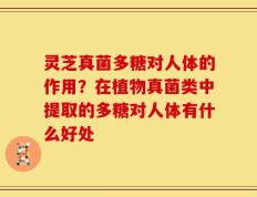 灵芝真菌多糖对人体的作用？在植物真菌类中提取的多糖对人体有什么好处
