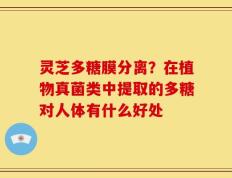 灵芝多糖膜分离？在植物真菌类中提取的多糖对人体有什么好处