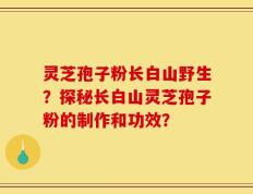 灵芝孢子粉长白山野生？探秘长白山灵芝孢子粉的制作和功效？