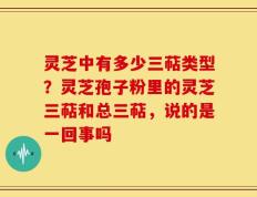 灵芝中有多少三萜类型？灵芝孢子粉里的灵芝三萜和总三萜，说的是一回事吗