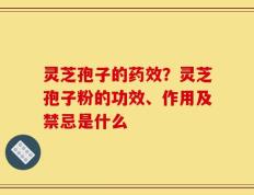 灵芝孢子的药效？灵芝孢子粉的功效、作用及禁忌是什么