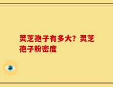 灵芝孢子有多大？灵芝孢子粉密度
