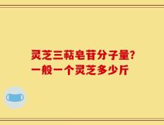 灵芝三萜皂苷分子量？一般一个灵芝多少斤