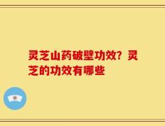 灵芝山药破壁功效？灵芝的功效有哪些
